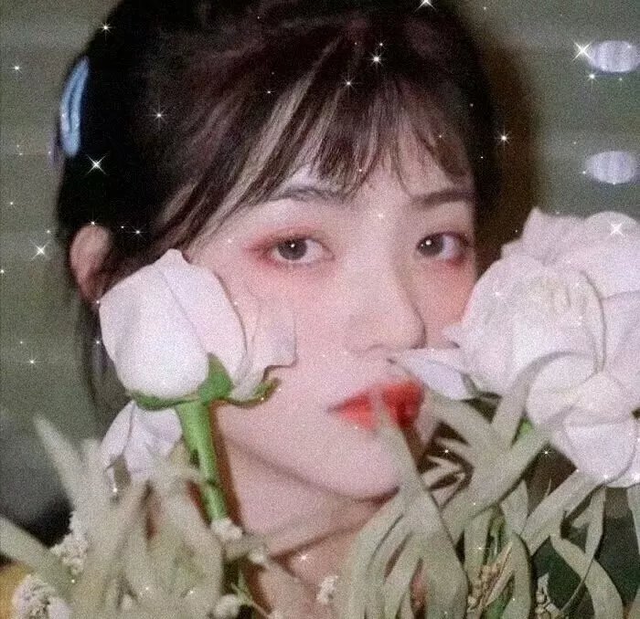 陆小凤与花满楼